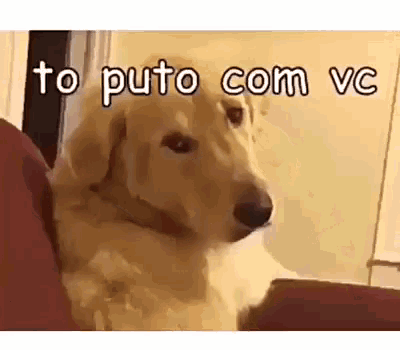 To puto com você